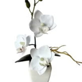 Huitich white artificial flowers in pot with delicate petals and green stems